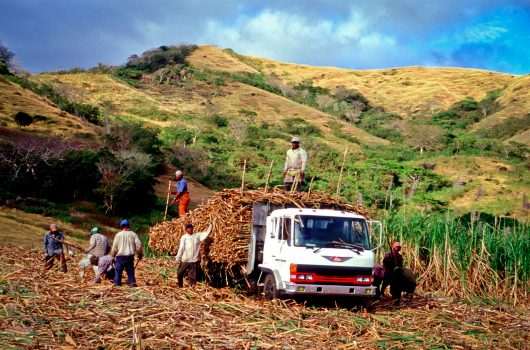 sustainable agriculture in fiji