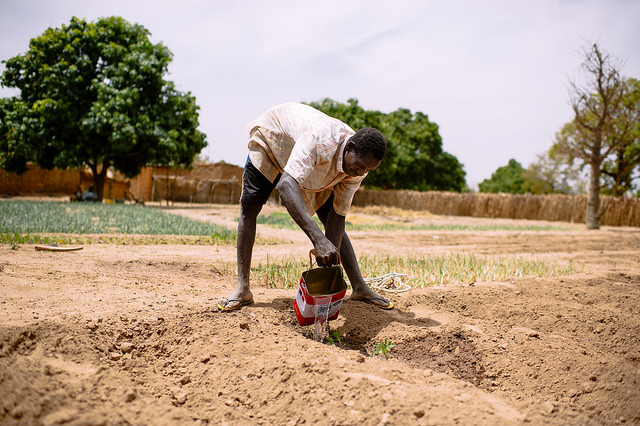 sustainable agriculture in Burkina Faso