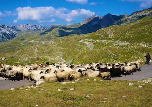 sustainable agriculture in Montenegro