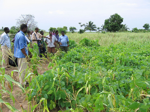 sustainable agriculture in Togo