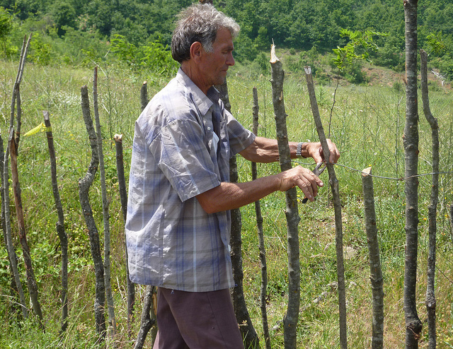 sustainable agriculture in albania