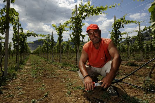 sustainable agriculture in bosnia and herzegovina