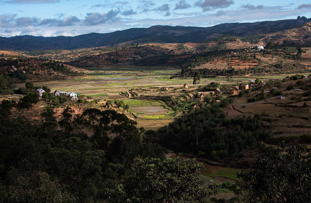 sustainable agriculture in Madagascar