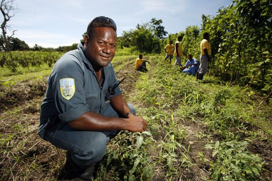 sustainable agriculture in the Solomon Islands