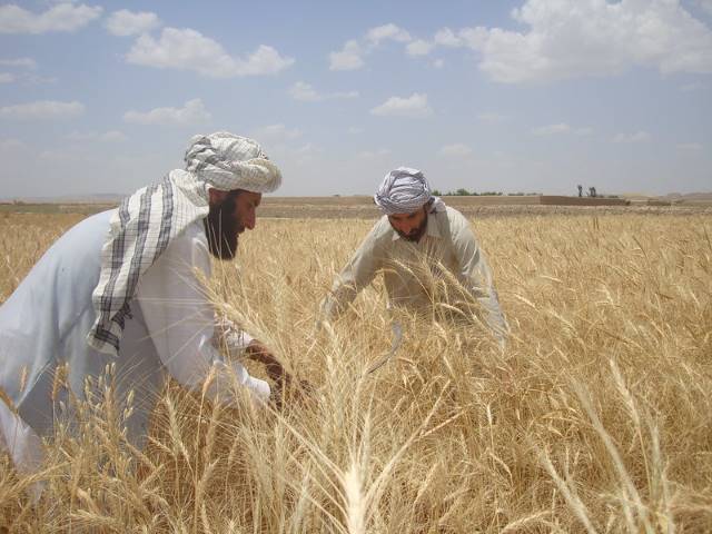 the drought in Afghanistan