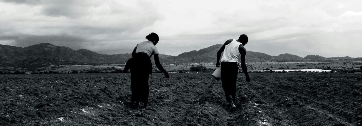 West Africa agribusiness opportunities