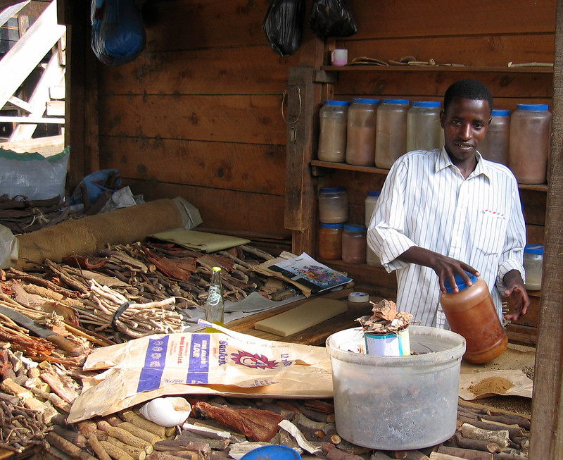 traditional healers in africa