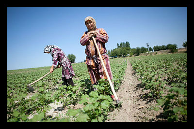 uzbekistan food security