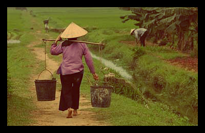 vietnam_economic_growth