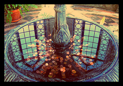 water wishes