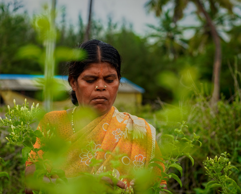 women farmers' movement in India