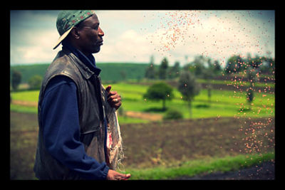 zambian_farmers_loans